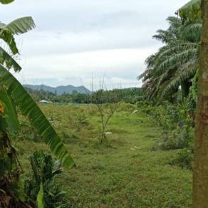 Agricultural-Land-for-sale-Batang-Kali-Selangor