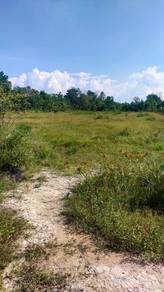 Agricultural-Land-for-sale-Kuantan-Pahang