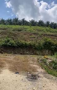 Agricultural-Land-for-sale-Jempol-Negeri-Sembilan
