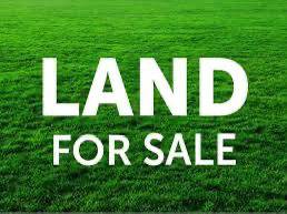 Agricultural-Land-for-sale-Kapar-Selangor
