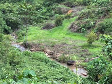 Agricultural-Land-for-sale-Lenggong-Perak
