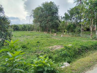 Agricultural-Land-for-sale-Kuala-Ketil-Kedah-2