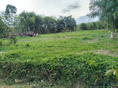 Agricultural-Land-for-sale-Kuala-Ketil-Kedah-1