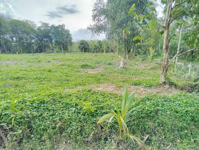 Agricultural-Land-for-sale-Kuala-Ketil-Kedah-3