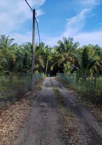 Behrang/Tanjung malim durian land,flat land,water electric supply