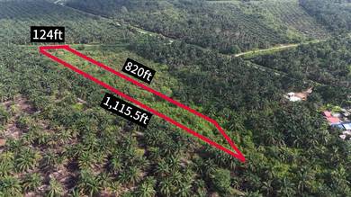 Agricultural-Land-for-sale-Ayer-Baloi-Johor