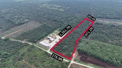 Freehold Int'l Lot Oil Palm Land Kg Sungai Burong, Pekan Nanas Pontian