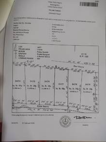 Agricultural-Land-for-sale-Ipoh-Perak