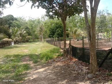 Tanah kebun dan dusun beeingin Melaka