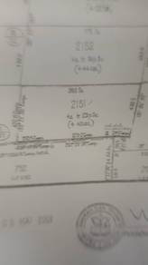 Agricultural-Land-for-sale-Temerloh-Pahang