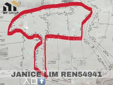 Agricultural-Land-for-sale-Kulim-Kedah
