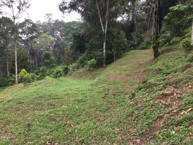 3.74Ekar - Tanah Pertanian Hulu Langat Kebun Durian Batu 17