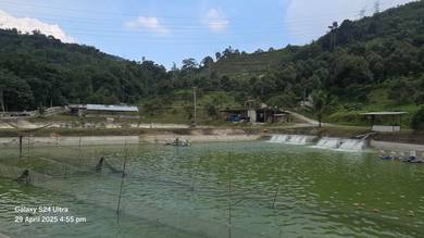 Agriculture Land 4.9 Acre Fish Pond Durian Tree Hulu Langat (Q4992)