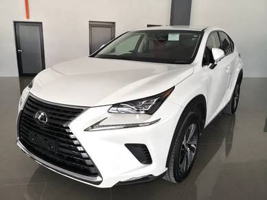 Lexus NX300 2.0 SPICE&CHIC (A) 4 Cam GRED 5A