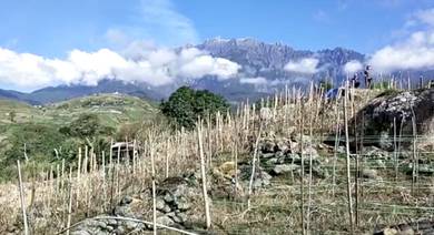 CL Mesilau Kundasang Land for Sale