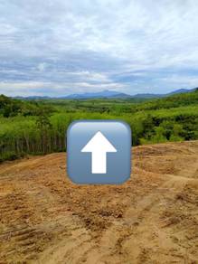 Agricultural-Land-for-sale-Sik-Kedah