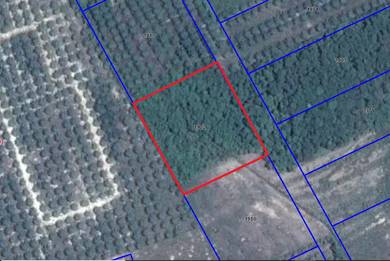 TANAH KEBUN 2 Ekar di Penyabung, Mersing, Johor [PALING MURAH]