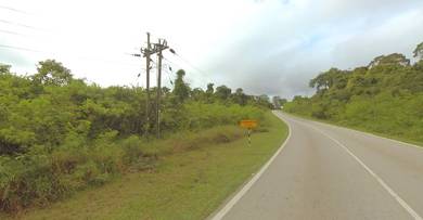 Freehold Agriculture Land Jalan Sepupok Niah