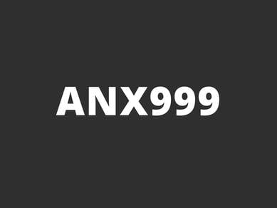 ANX999