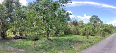 Roadside Agriculture Land Sungai Rait Miri