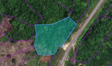 Agriculture Land Coastal Road Sibuti Miri