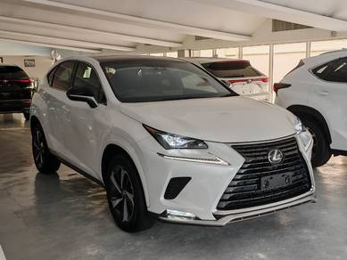 Lexus NX300 Spice & Chic Edition 2.0L (A)