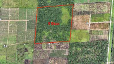 Agricultural-Land-for-sale-Pontian-Johor