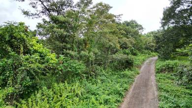 The worth buy land for investment or farming