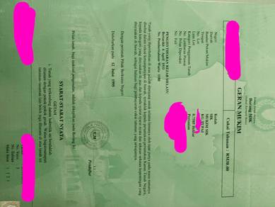 Agricultural-Land-for-sale-Sik-Kedah