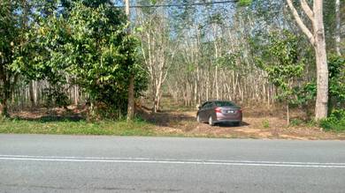 Agricultural-Land-for-sale-Sik-Kedah