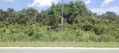 Agriculture Land Coastal Road Miri Bintulu Road Bekenu Sibuti