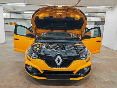 Renault MEGANE RS 280 CUP 1.8L (A)