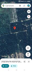 Ladang Kelapa Sawit 3 Ekar Untuk Dijual Di Muadzam Shah Pahang
