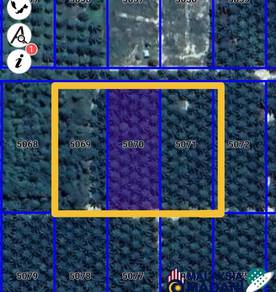 Ladang Kelapa Sawit 3 Ekar Untuk Dijual Di Muadzam Shah Pahang