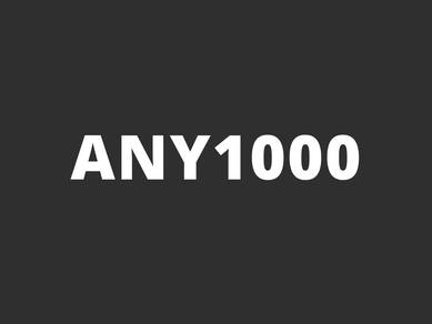 ANY1000