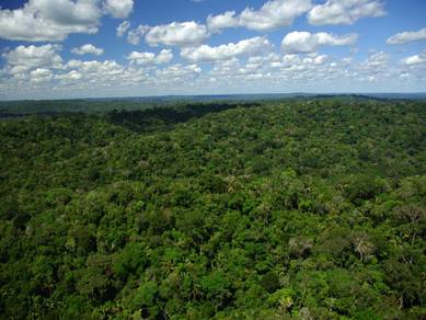 Agricultural-Land-for-sale-Kudat-Sabah-2
