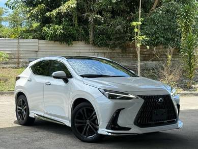 Lexus NX250 2.5 LUXURY MODELLISTA AERO