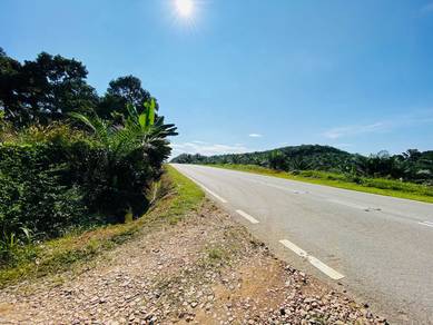 Dusun Durian Premium – 5 Ekar Musang King – Bekok Johor