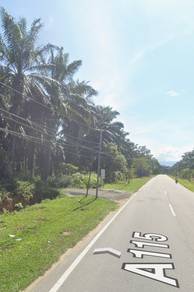 Selama Land Besides Main Road Oil Palm Tree Land For Sales