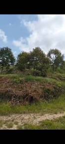 5.2 Acres Durian Farm for Sale at Bentong, Pahang