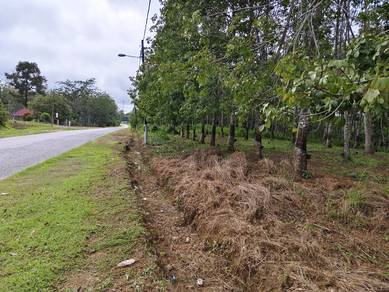 Agricultural-Land-for-sale-Kuala-Nerang-Kedah