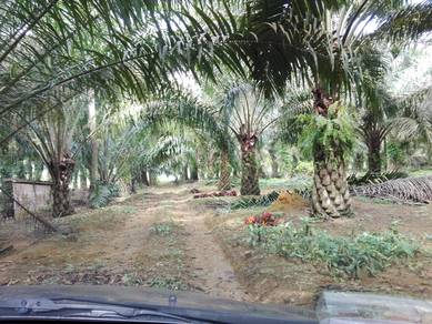 Road side land