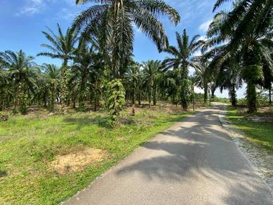 TANAH PERTANIAN KG LUKUT, KOTA TINGGI fOR SALE