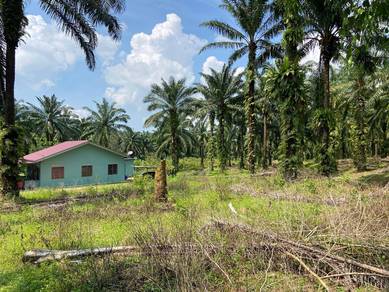 TANAH PERTANIAN KG LUKUT, KOTA TINGGI fOR SALE