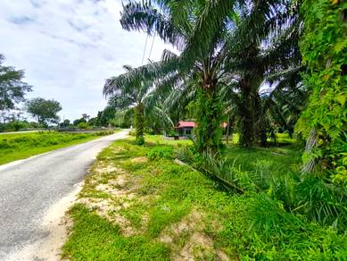 TANAH MURAH Near Sendayan - 31204 sqft