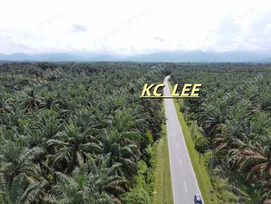 9.87 Acres Beside Main Road | Agricultural Land @ Selama , Perak