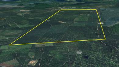 Oil Palm Plantation & Land | Kalabakan, Sabah