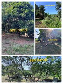 Tanah Kebun RTB Bukit Kerdas, Seri Bandi, Kemaman [KEBUN CANTIK]