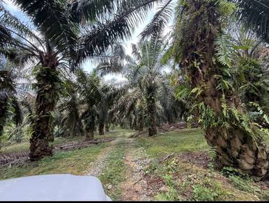 Industrial-Land-for-sale-Senai-Johor-3