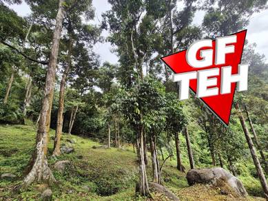 Agricultural-Land-for-sale-Bukit-Mertajam-Penang